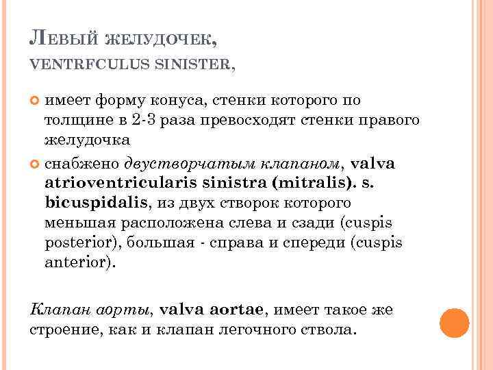 ЛЕВЫЙ ЖЕЛУДОЧЕК, VENTRFCULUS SINISTER, имеет форму конуса, стенки которого по толщине в 2 3