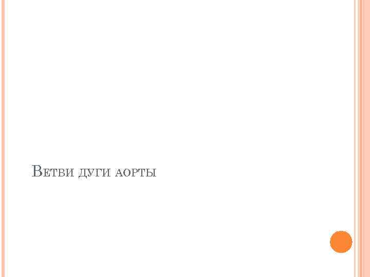 ВЕТВИ ДУГИ АОРТЫ 