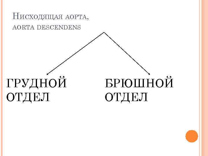 НИСХОДЯЩАЯ АОРТА, AORTA DESCENDENS ГРУДНОЙ ОТДЕЛ БРЮШНОЙ ОТДЕЛ 