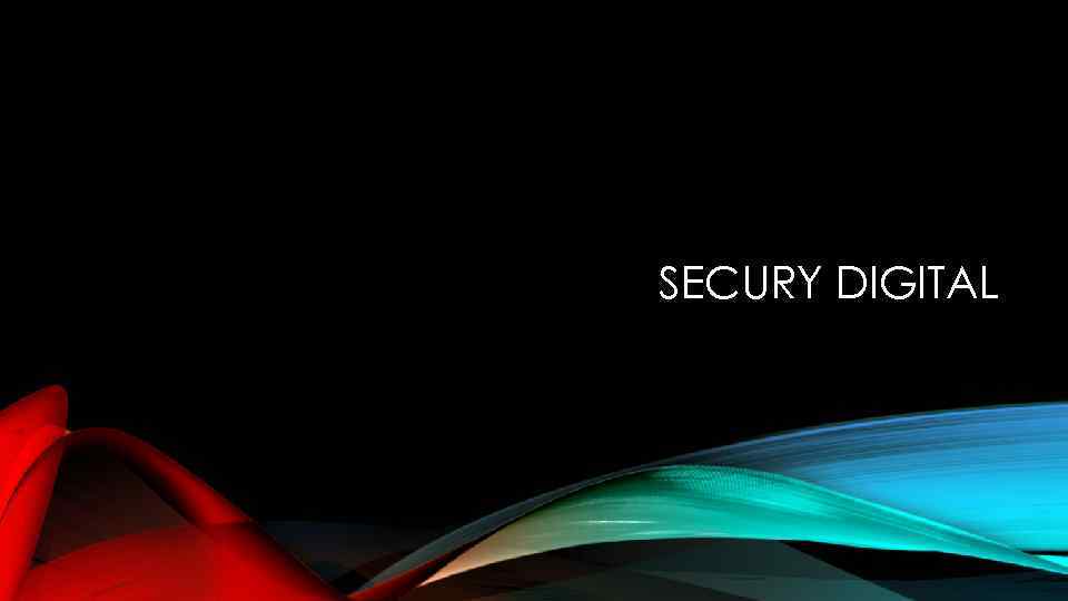 SECURY DIGITAL 