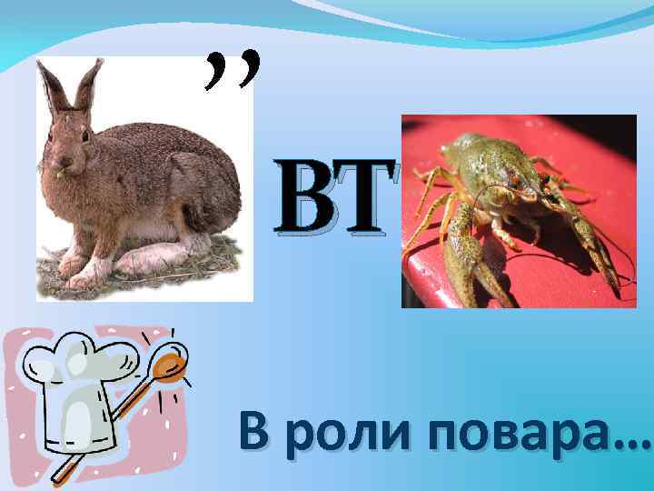 , , ВТ В роли повара… 