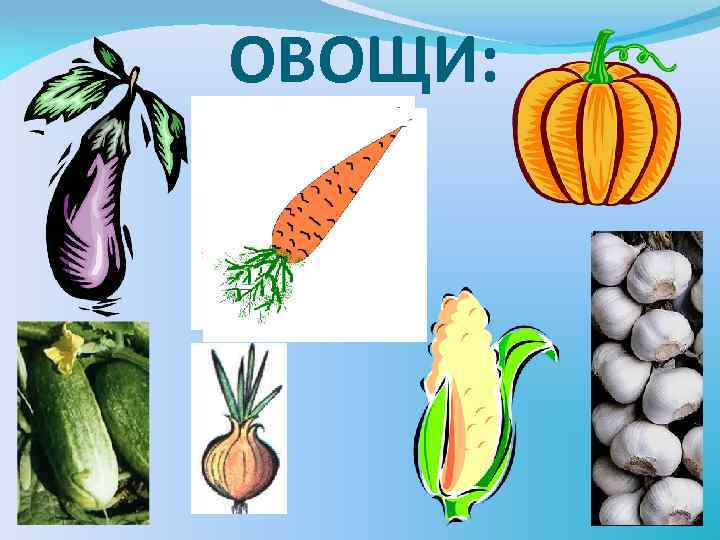ОВОЩИ: 