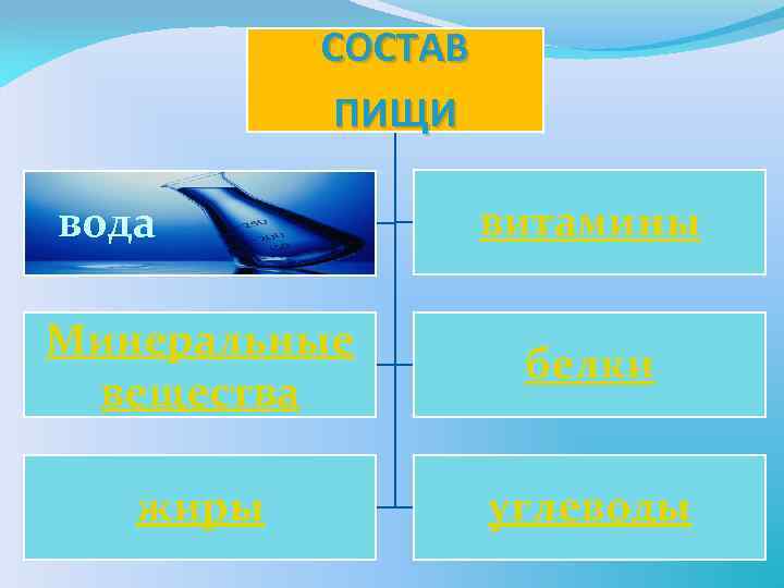 СОСТАВ ПИЩИ вода витамины Минеральные вещества белки жиры углеводы 