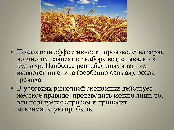  • Показатели эффективности производства зерна во многом зависят от набора возделываемых культур. Наиболее
