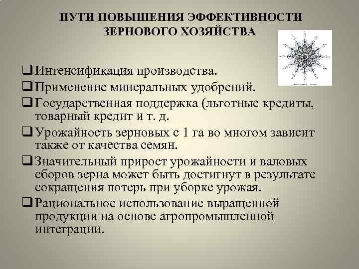 ПУТИ ПОВЫШЕНИЯ ЭФФЕКТИВНОСТИ ЗЕРНОВОГО ХОЗЯЙСТВА q Интенсификация производства. q Применение минеральных удобрений. q Государственная