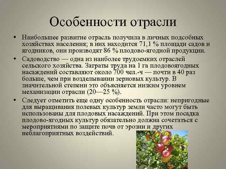 Особенности отрасли • Наибольшее развитие отрасль получила в личных подсобных хозяйствах населения; в них