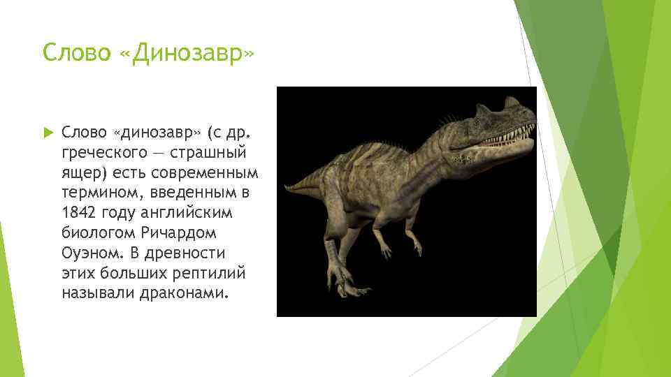 Слово «Динозавр» Слово «динозавр» (с др. греческого — страшный ящер) есть современным термином, введенным