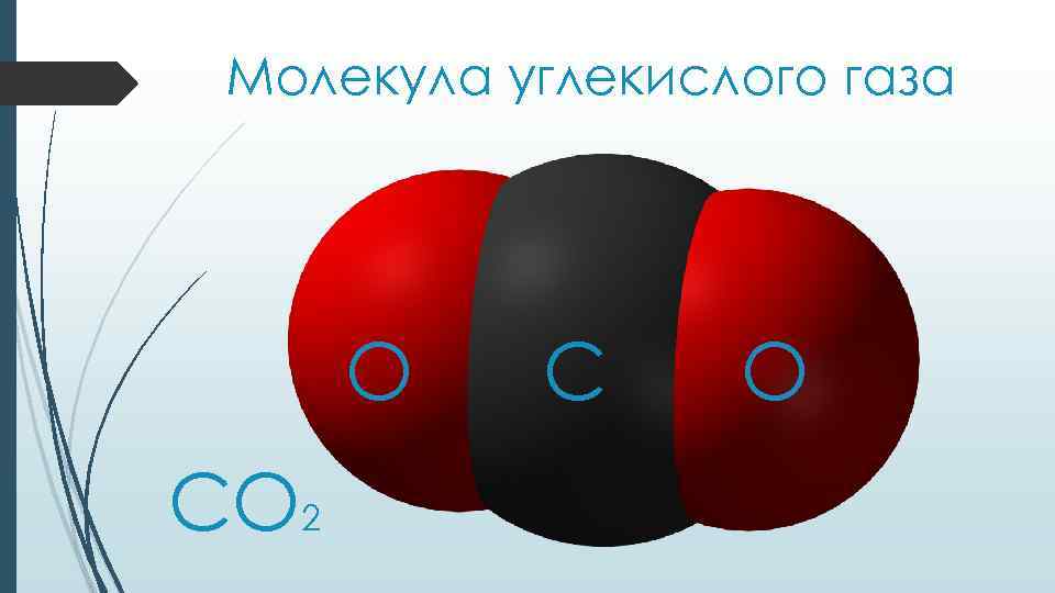 Молекула углекислого газа O CO 2 C O 