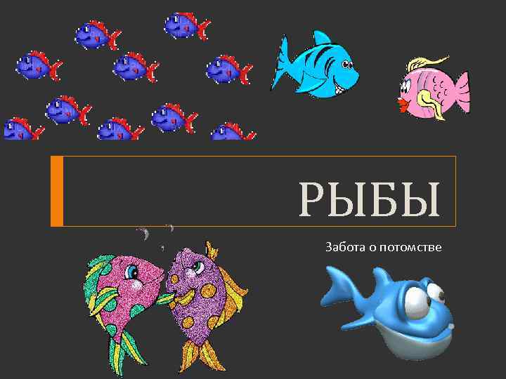 РЫБЫ Забота о потомстве 