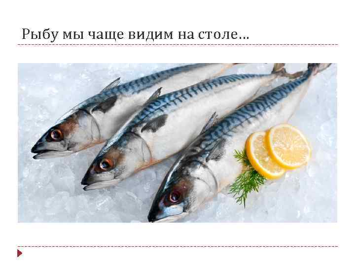 Рыбу мы чаще видим на столе… 