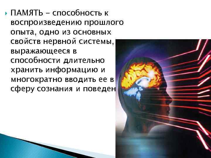  ПАМЯТЬ - способность к воспроизведению прошлого опыта, одно из основных свойств нервной системы,
