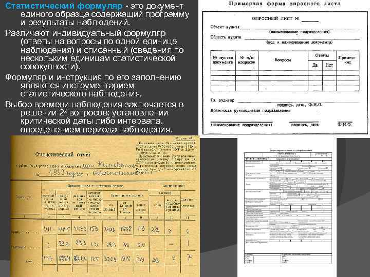 Статистический документ единого образца содержащий программу и результаты наблюдения