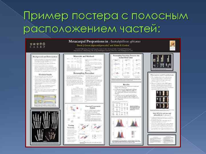 Пример постера с полосным расположением частей: 