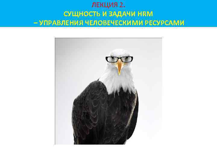 ЛЕКЦИЯ 2. СУЩНОСТЬ И ЗАДАЧИ HRM – УПРАВЛЕНИЯ ЧЕЛОВЕЧЕСКИМИ РЕСУРСАМИ 