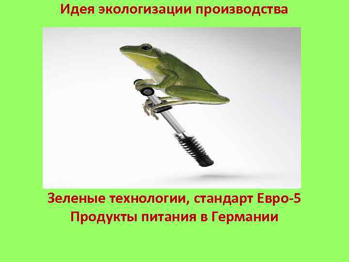 Идея экологизации производства Зеленые технологии, стандарт Евро-5 Продукты питания в Германии 