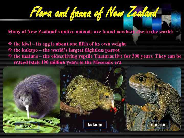 Flora and fauna of New Zealand Many of New Zealand’s native animals are found