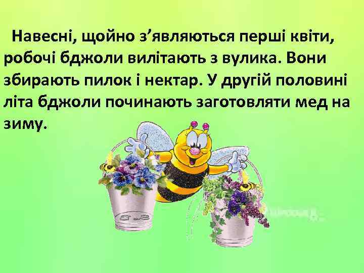  Навесні, щойно з’являються перші квіти, робочі бджоли вилітають з вулика. Вони збирають пилок