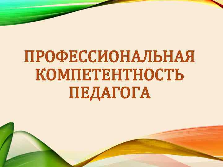 ПРОФЕССИОНАЛЬНАЯ КОМПЕТЕНТНОСТЬ ПЕДАГОГА 