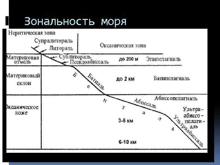 Зональность свойства