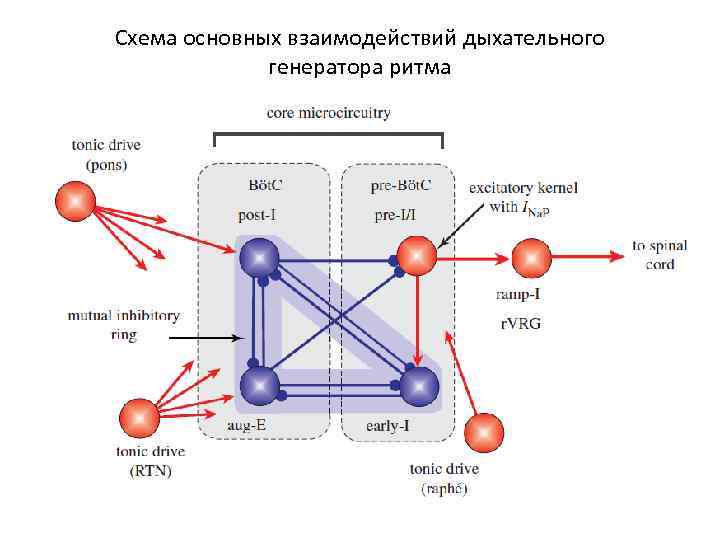 Основные взаимосвязи между пикселями изображения