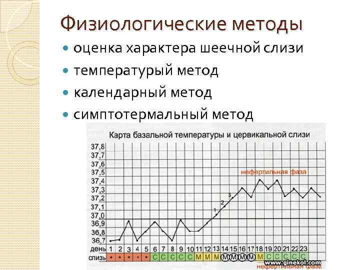 Физиологические методы оценка характера шеечной слизи температурый метод календарный метод симптотермальный метод 