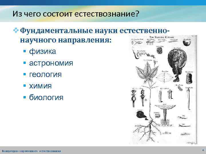 Какое естествознание