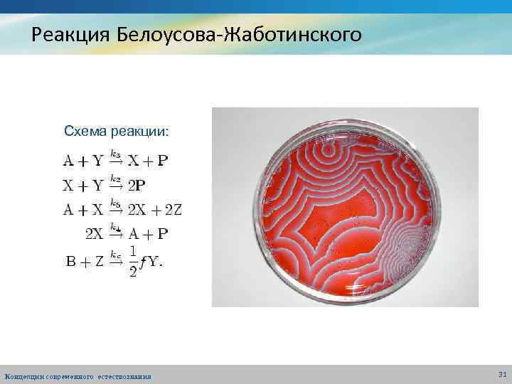 Реакция Белоусова-Жаботинского Схема реакции: Концепции современного естествознания 31 