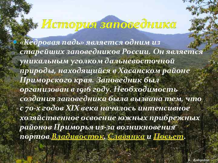 История заповедника «Кедровая падь» является одним из старейших заповедников России. Он является уникальным уголком