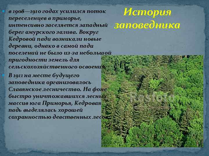  в 1908— 1910 годах усилился поток переселенцев в приморье, интенсивно заселяется западный берег