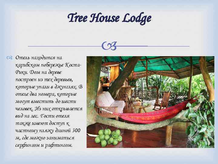 Tree House Lodge Отель находится на карибском побережье Коста. Рики. Дом на дереве построен