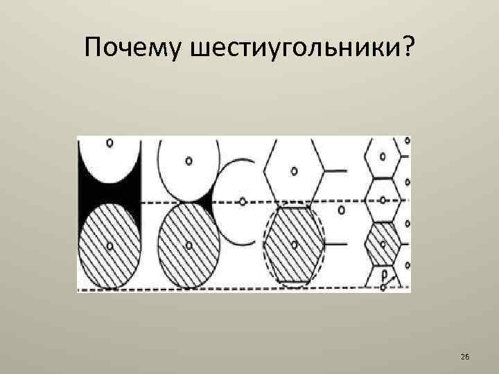 Почему шестиугольники? 26 