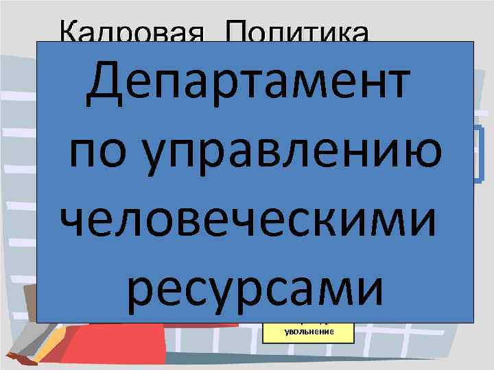 Департамент по управлению человеческими ресурсами Планирование Профориентация и адаптация Подбор Обучение & Развитие Отбор