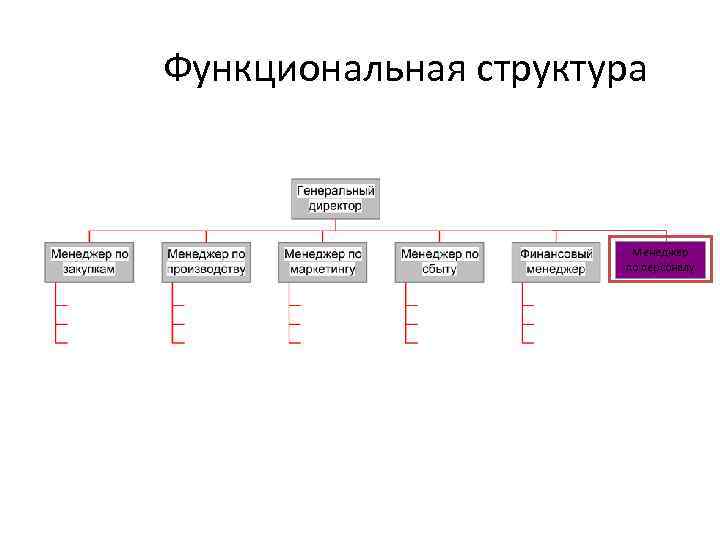 Функциональная структура Менеджер по персоналу 