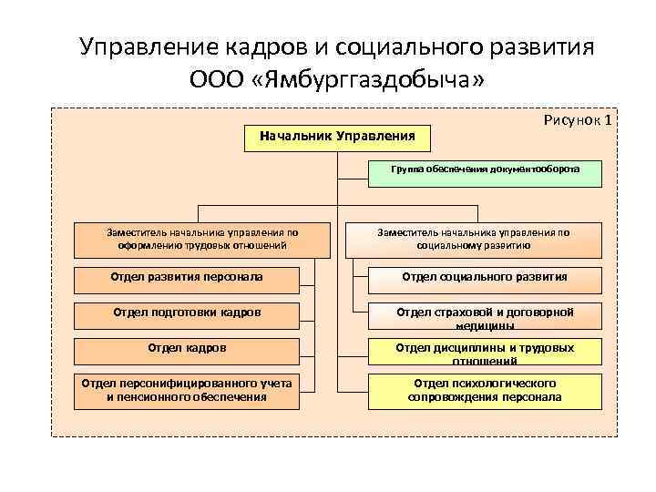 Группа обеспечения. Управление кадров. Заместитель начальника отдела по развитию персонала. Управления кадрами и трудовыми отношениями. Начальник управления социального развития.