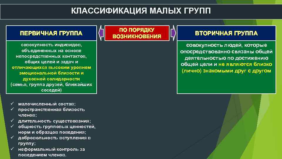 Из скольких ярусов может состоять еловый лес составьте схему работа в малых группах