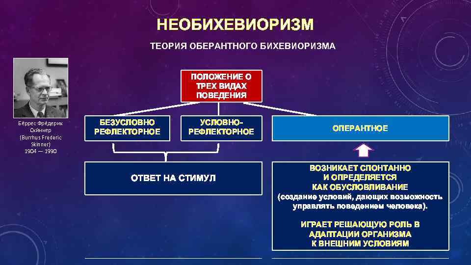 НЕОБИХЕВИОРИЗМ ТЕОРИЯ ОБЕРАНТНОГО БИХЕВИОРИЗМА ПОЛОЖЕНИЕ О ТРЕХ ВИДАХ ПОВЕДЕНИЯ Бе ррес Фре дерик Ски