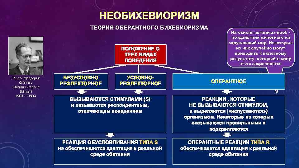 НЕОБИХЕВИОРИЗМ ТЕОРИЯ ОБЕРАНТНОГО БИХЕВИОРИЗМА ПОЛОЖЕНИЕ О ТРЕХ ВИДАХ ПОВЕДЕНИЯ Бе ррес Фре дерик Ски