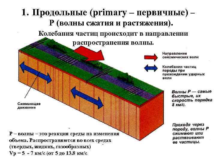 Волны сжатия и растяжения