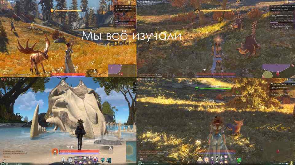 Мы всё изучали 