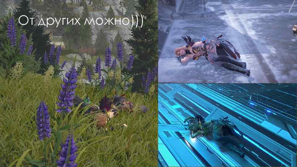 От других можно))) 