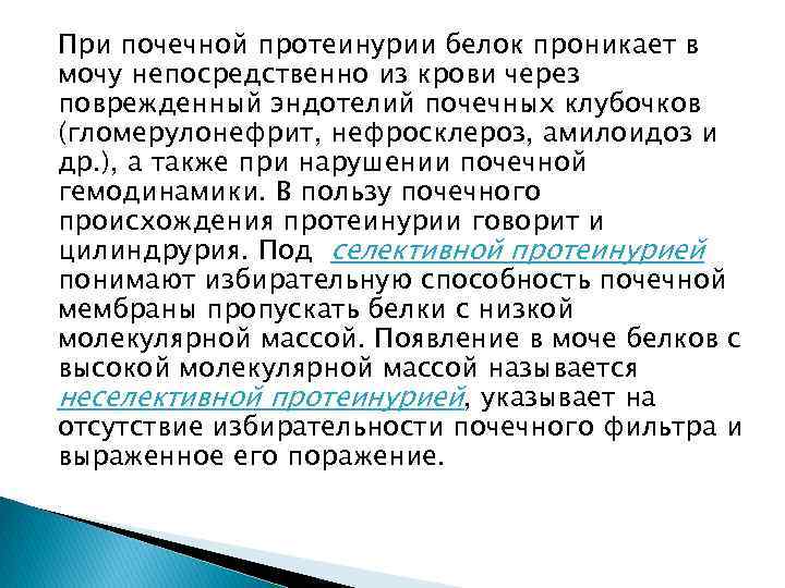 При почечной протеинурии белок проникает в мочу непосредственно из крови через поврежденный эндотелий почечных