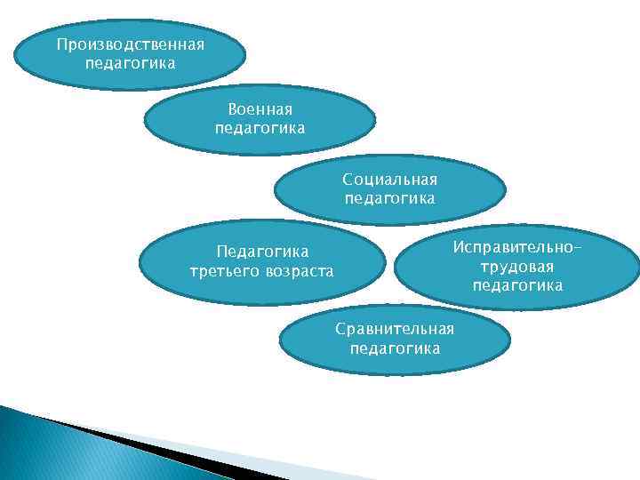 Производственная педагогика Военная педагогика Социальная педагогика Педагогика третьего возраста Исправительнотрудовая педагогика Сравнительная педагогика 