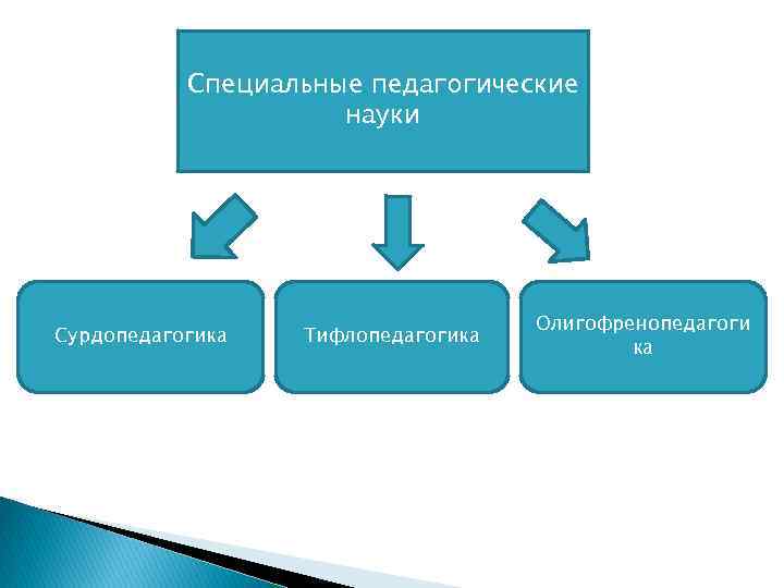 Специальные педагогические науки Сурдопедагогика Тифлопедагогика Олигофренопедагоги ка 