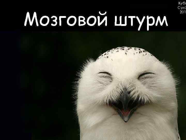 Мозговой штурм Кубо Сухо 2015 