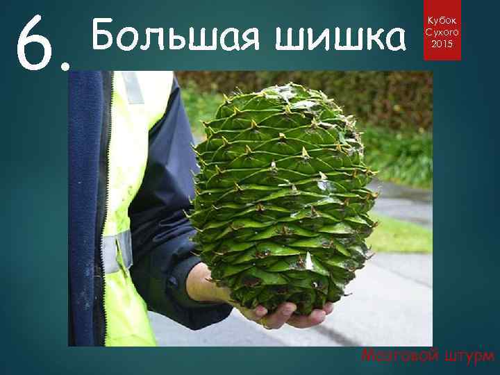 6. Большая шишка Кубок Сухого 2015 Мозговой штурм 