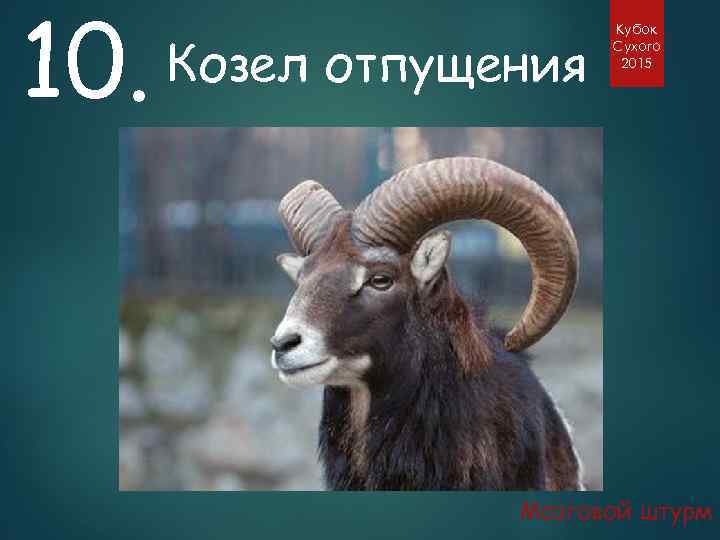 10. Козел отпущения Кубок Сухого 2015 Мозговой штурм 