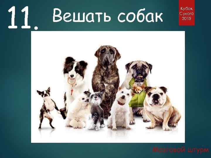 11. Вешать собак Кубок Сухого 2015 Мозговой штурм 