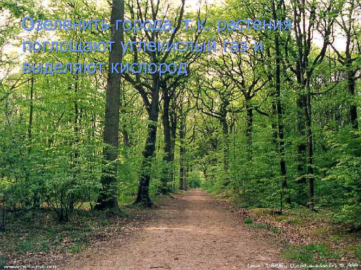 Озеленить города, т. к. растения поглощают углекислый газ и выделяют кислород 