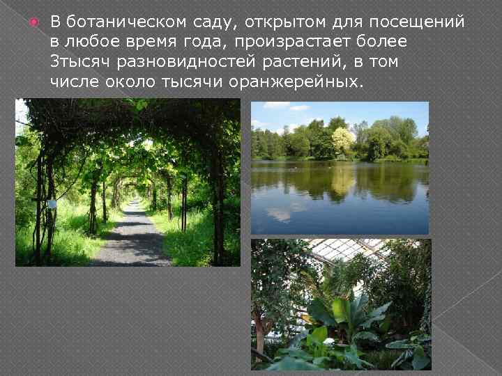  В ботаническом саду, открытом для посещений в любое время года, произрастает более 3