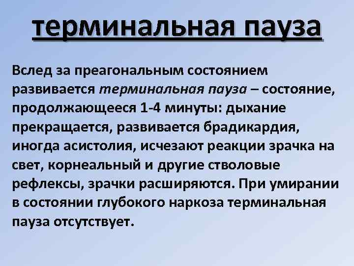 Терминальный проект это